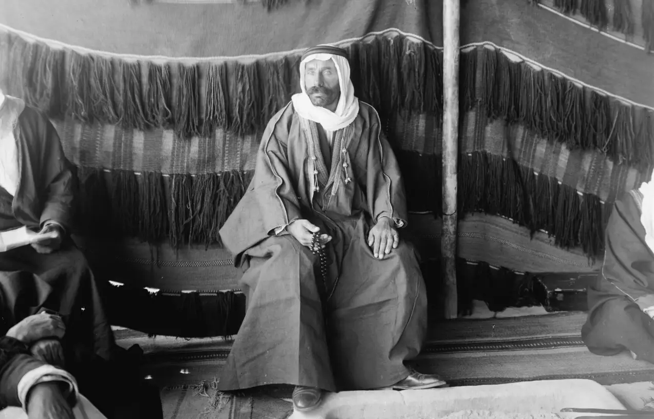 دروزی ها. سلطان الاطرش
