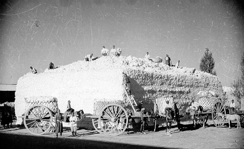 ازبکستان قدیم