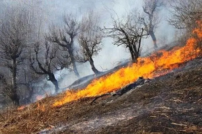 یک فوتی در جریان مهار آتش‌سوزی مراتع سنندج