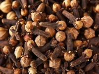 خواص شگفت انگیز میخک برای سلامت معده و گوارش