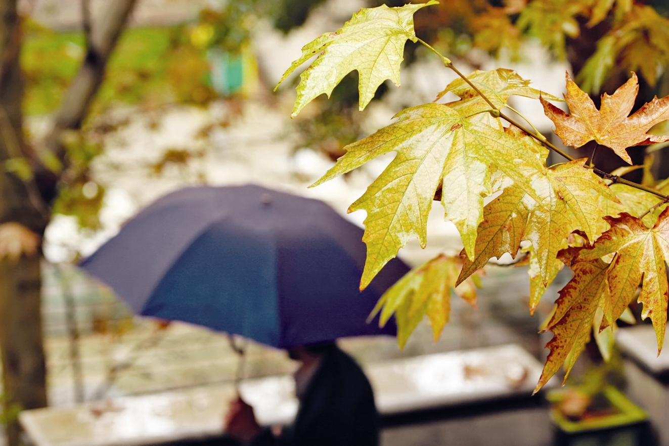 سامانه بارشی جدید بالاخره به ایران رسید/هشدار کولاک و یخبندان برای این استان ها