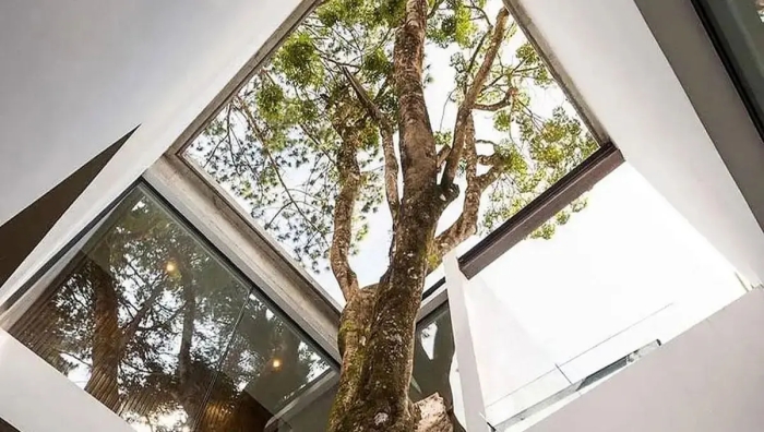 تصاویر؛ وقتی ساختمان‌ها به جنگل شهری تبدیل می‌شوند