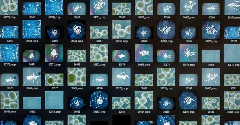 تصاویر علمی