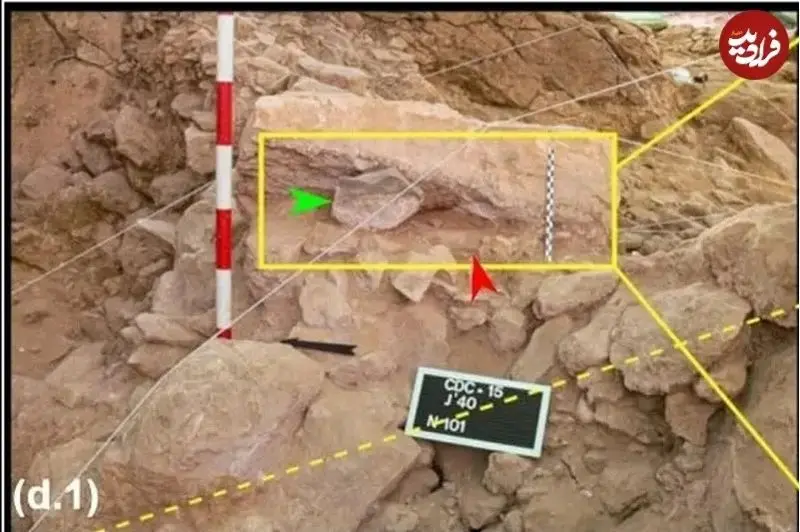 نئاندرتال‌ها