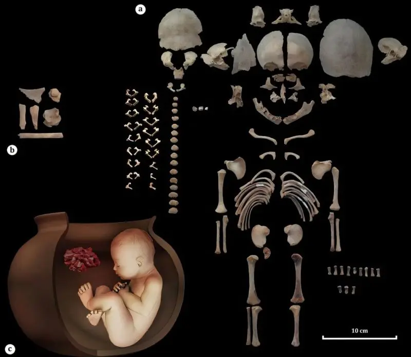 جنین 6500 ساله