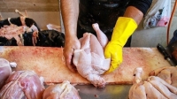شوک بزرگ قیمتی در بازار مرغ / قیمت مرغ 150 هزار تومان شد