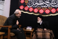 شبیری زنجانی خطاب به پزشکیان: طرح سخنان ناصحیح و بی‌انصافی‌ها گذراست