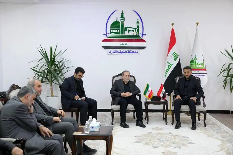 عباس عراقچی در نجف