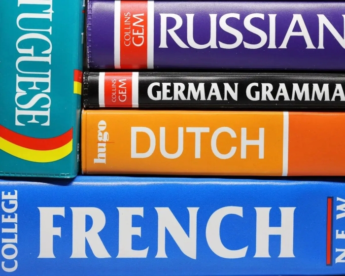 چگونه یادگیری یک زبان جدید مانع از پیری زودرس مغز می‌شود؟