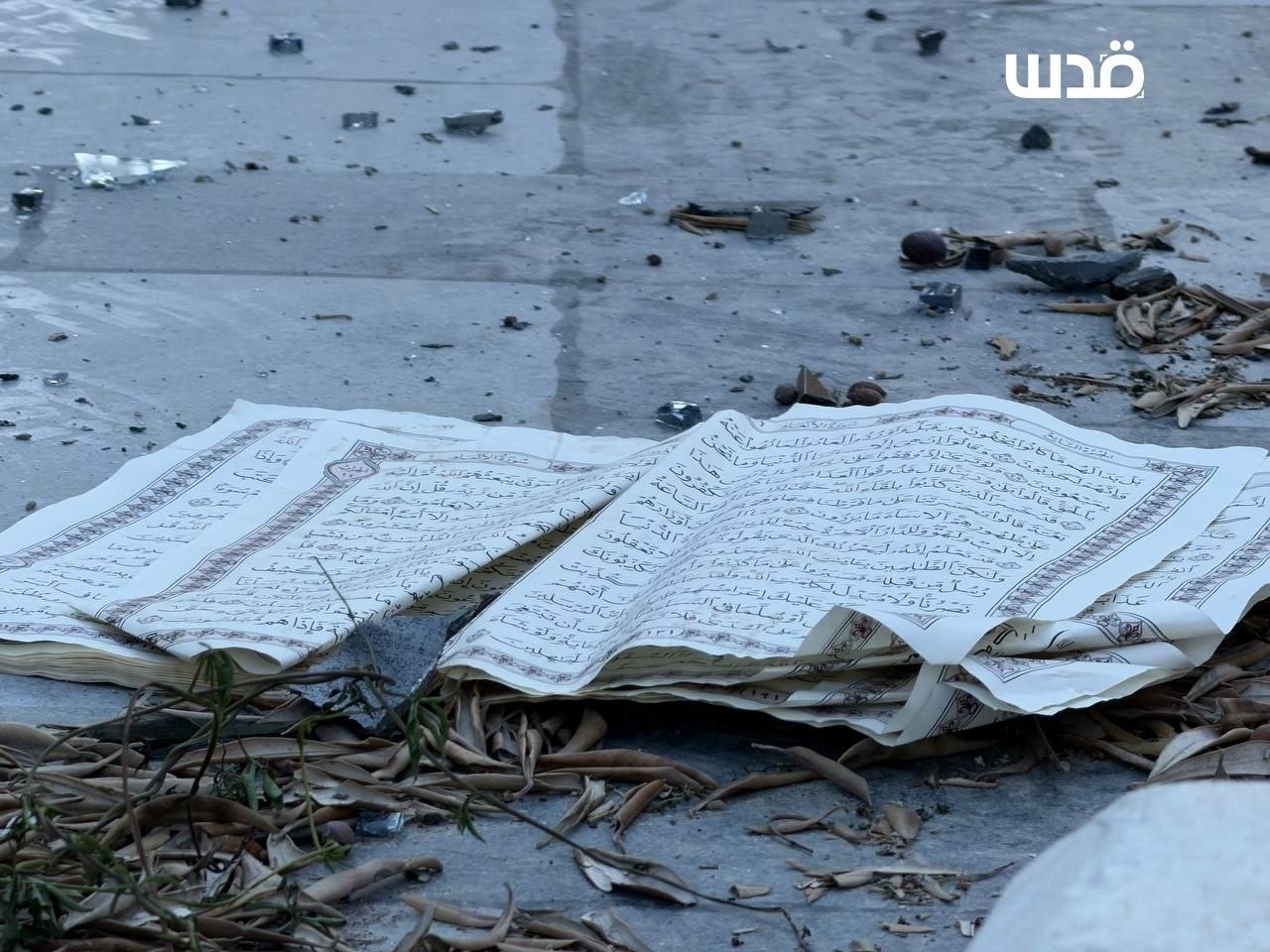 اوباش صهیونیست