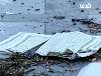 اوباش صهیونیست قرآن را پاره و به آن اهانت‌ کردند +عکس