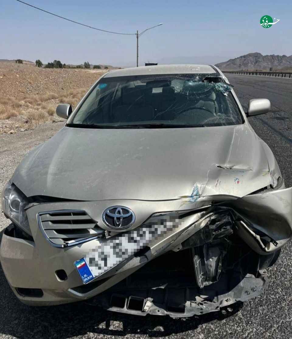 علیرضا افتخاری 